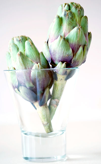 artichokes for fat burner