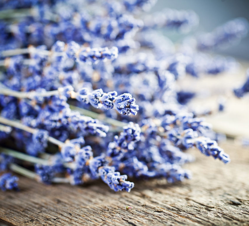 Using Lavender for Skincare