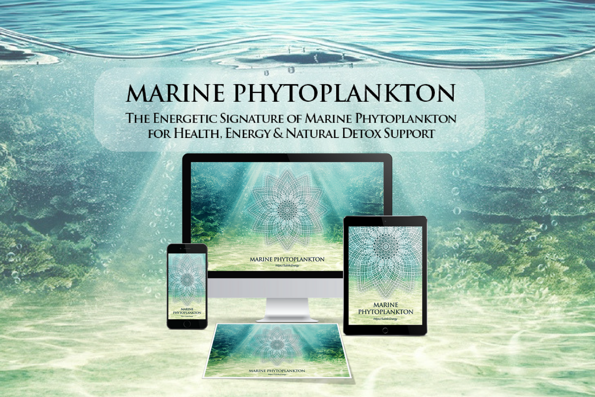Marine Phytoplankton Digital Medicine