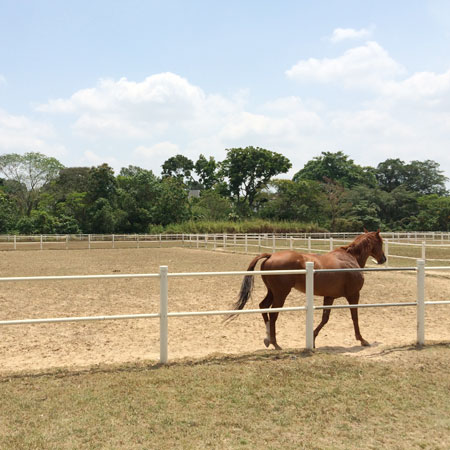 Hi 5 Hi Frequency at Linking Awareness Singapore