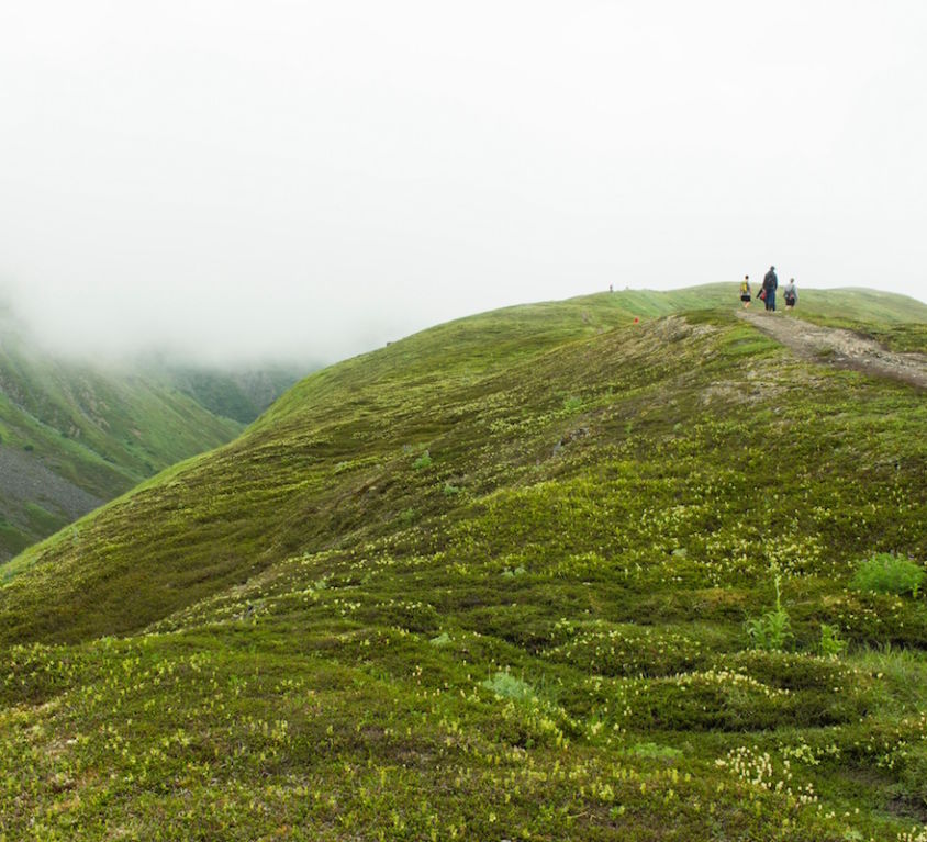 The Nature Pyramid How much Nature do we Need Photo by elijah-hiett