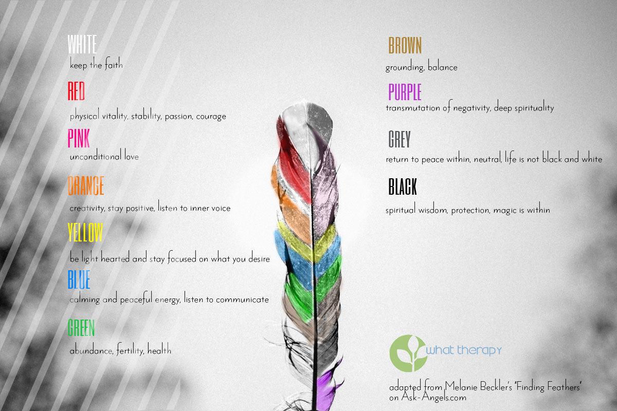 The meaning of different coloured feathers