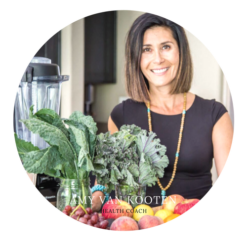 Amy Van Kooten Functional Holistic Health Coach