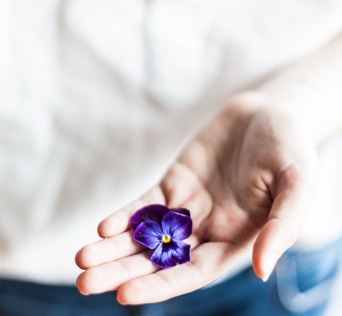 flower in hand by alex loup