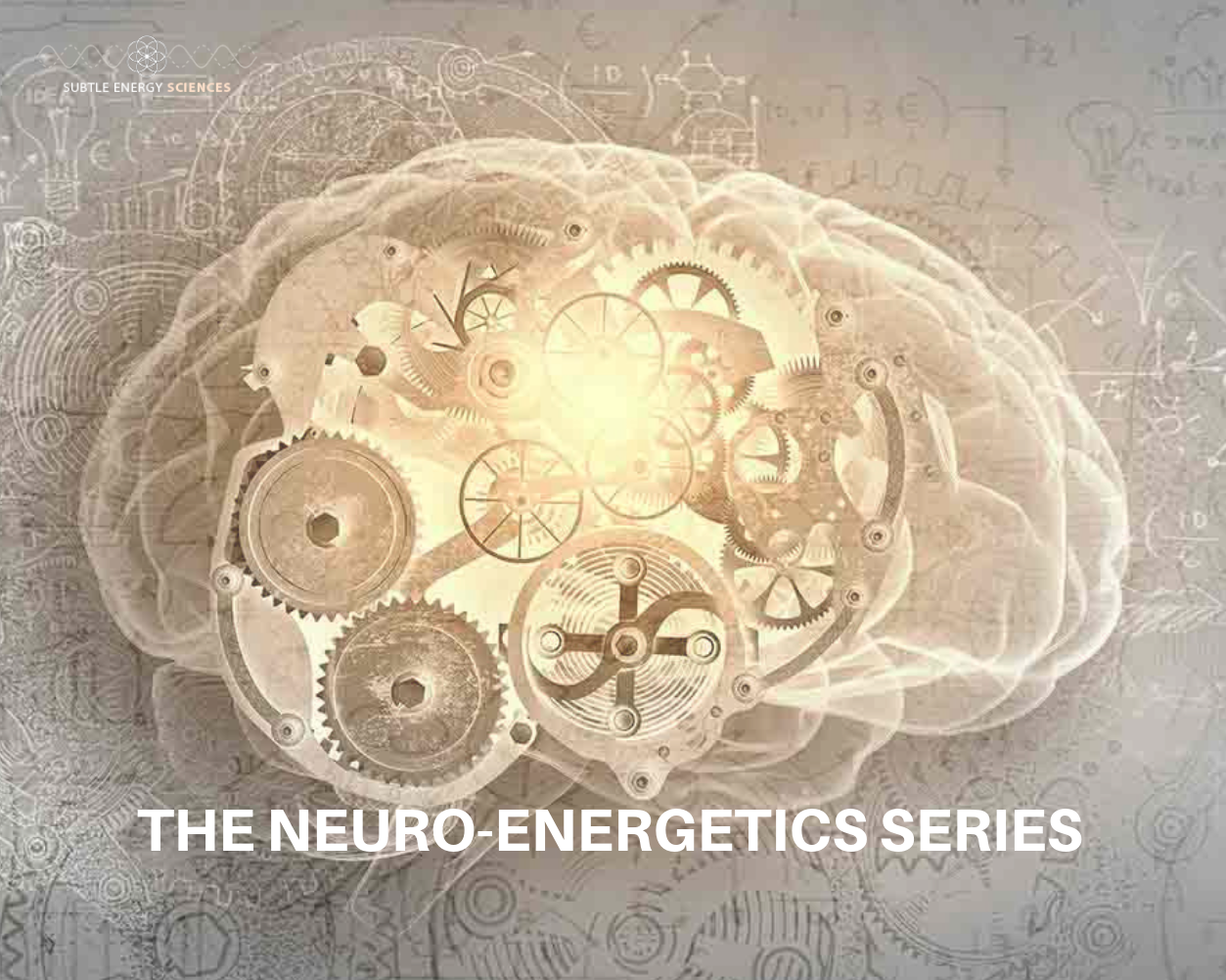 The Neuro - Energetics Series
