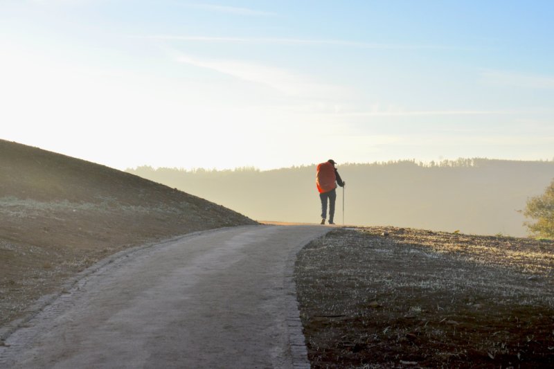 what i learned on the camino stock photo by jorge-luis-ojeda-flota