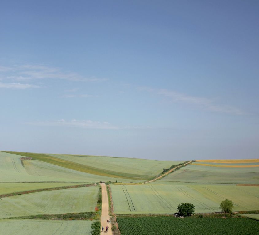 what i learned on the camino stock photo by les-routes-sans-fins