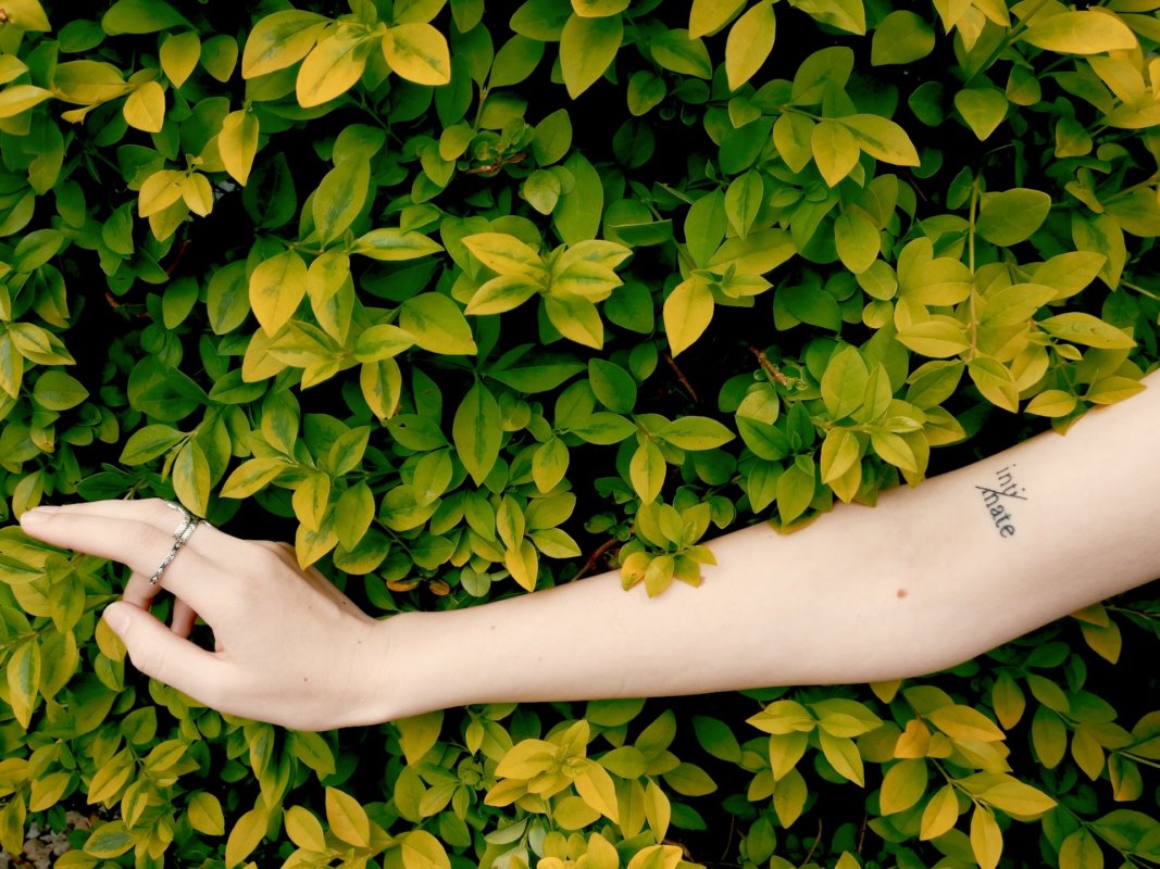 woman's arm in front of leaves innocent intimacy