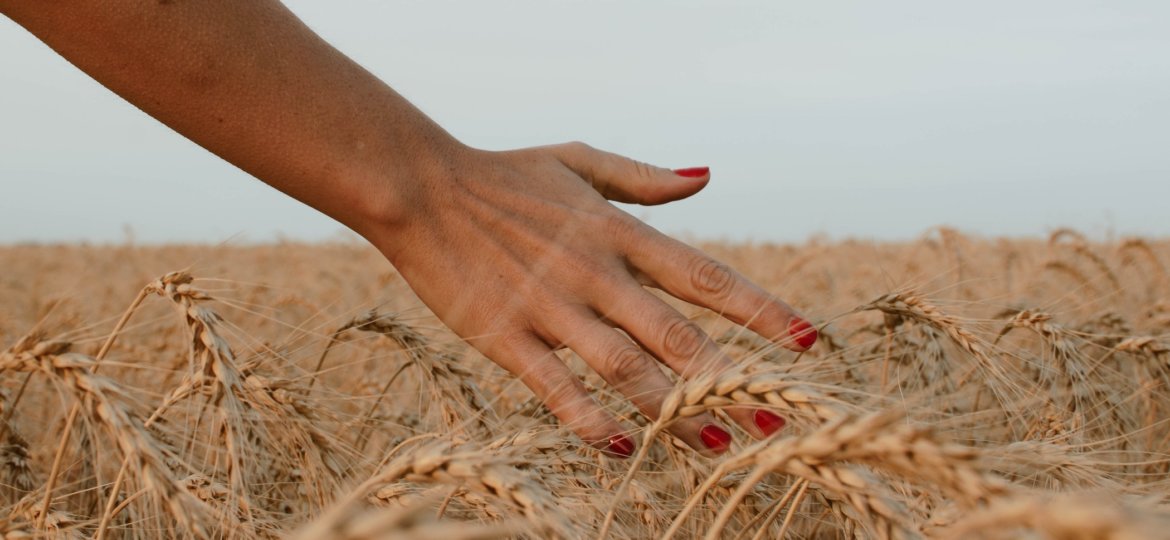 Virgo Season Harvest photo by paz arando