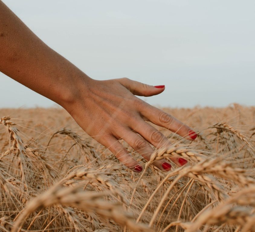 Virgo Season Harvest photo by paz arando