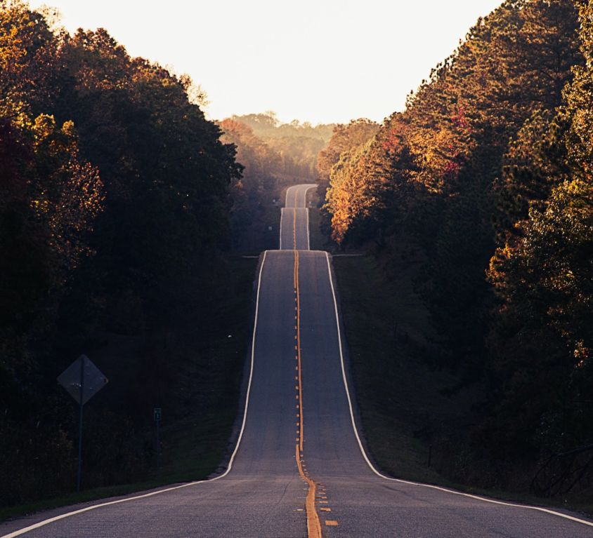 autumn-grief-lungs-large-intestine-energy-photo-by-matt-duncan